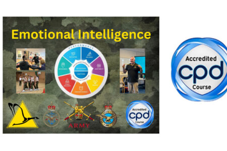 train-the-trainer-mtc-facilitation-emotional-intelligence